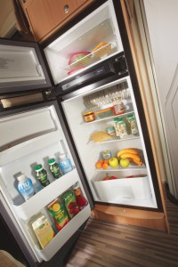411_A_49DP_150LFridge